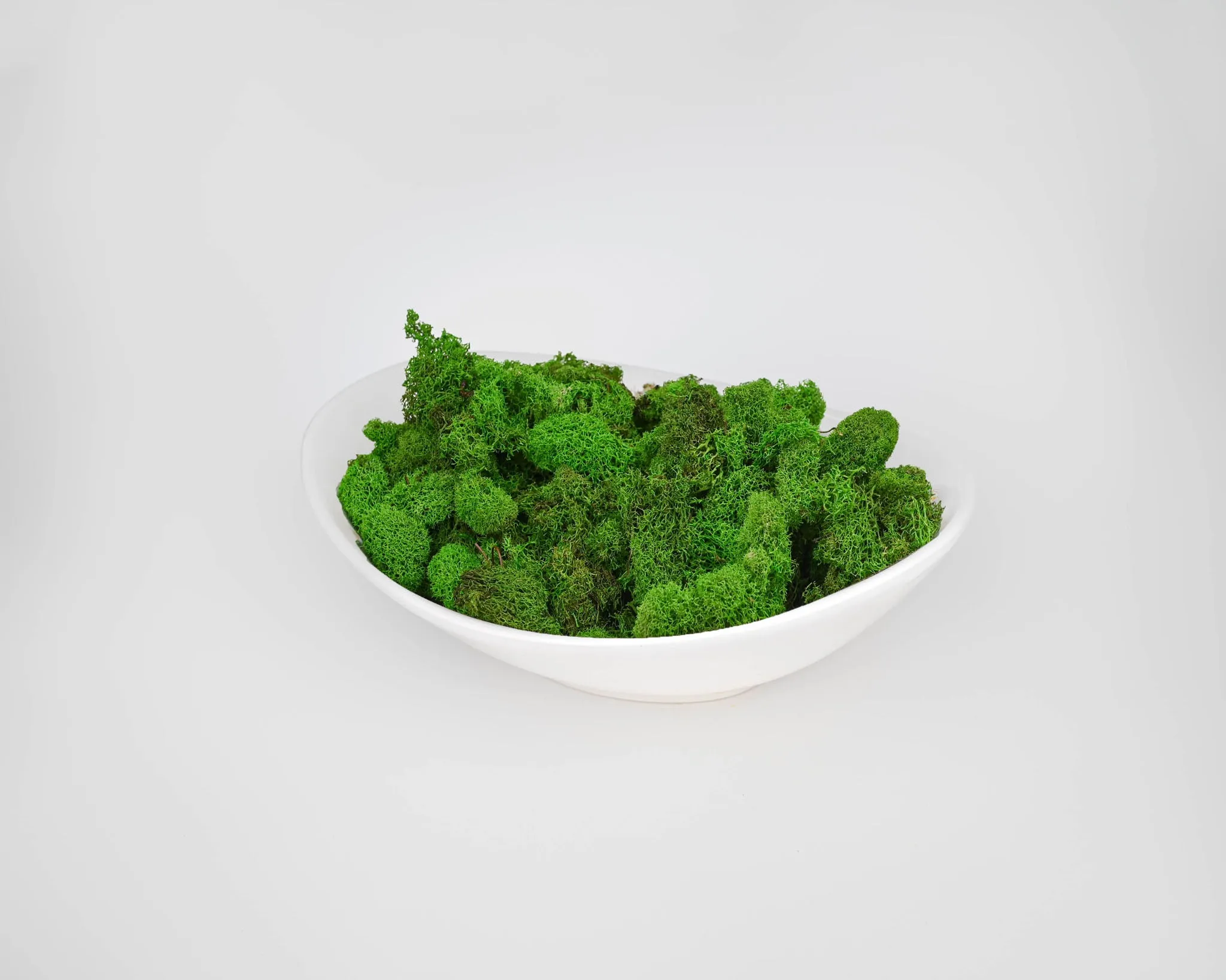 Preserved Reindeer Moss - Dried