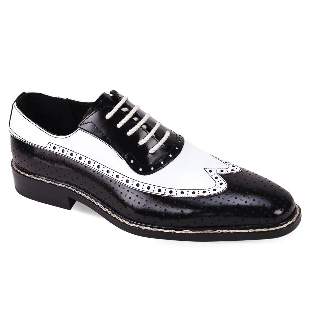 Rio Oxford Spectator by Giovanni